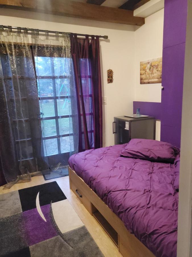 Maison Le Lézard chez Amalia et Fred Thonon-les-Bains Esterno foto