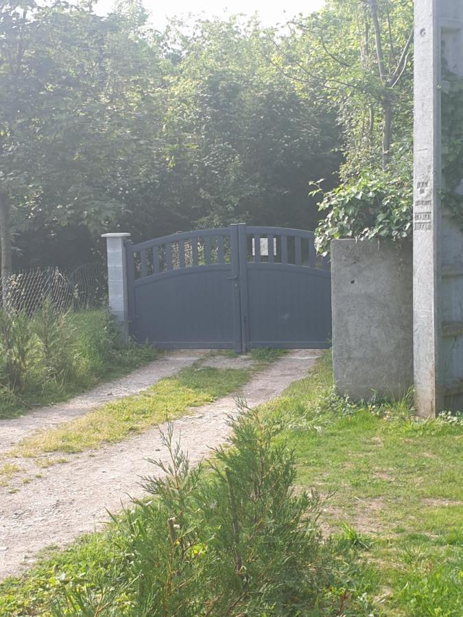 Maison Le Lézard chez Amalia et Fred Thonon-les-Bains Esterno foto