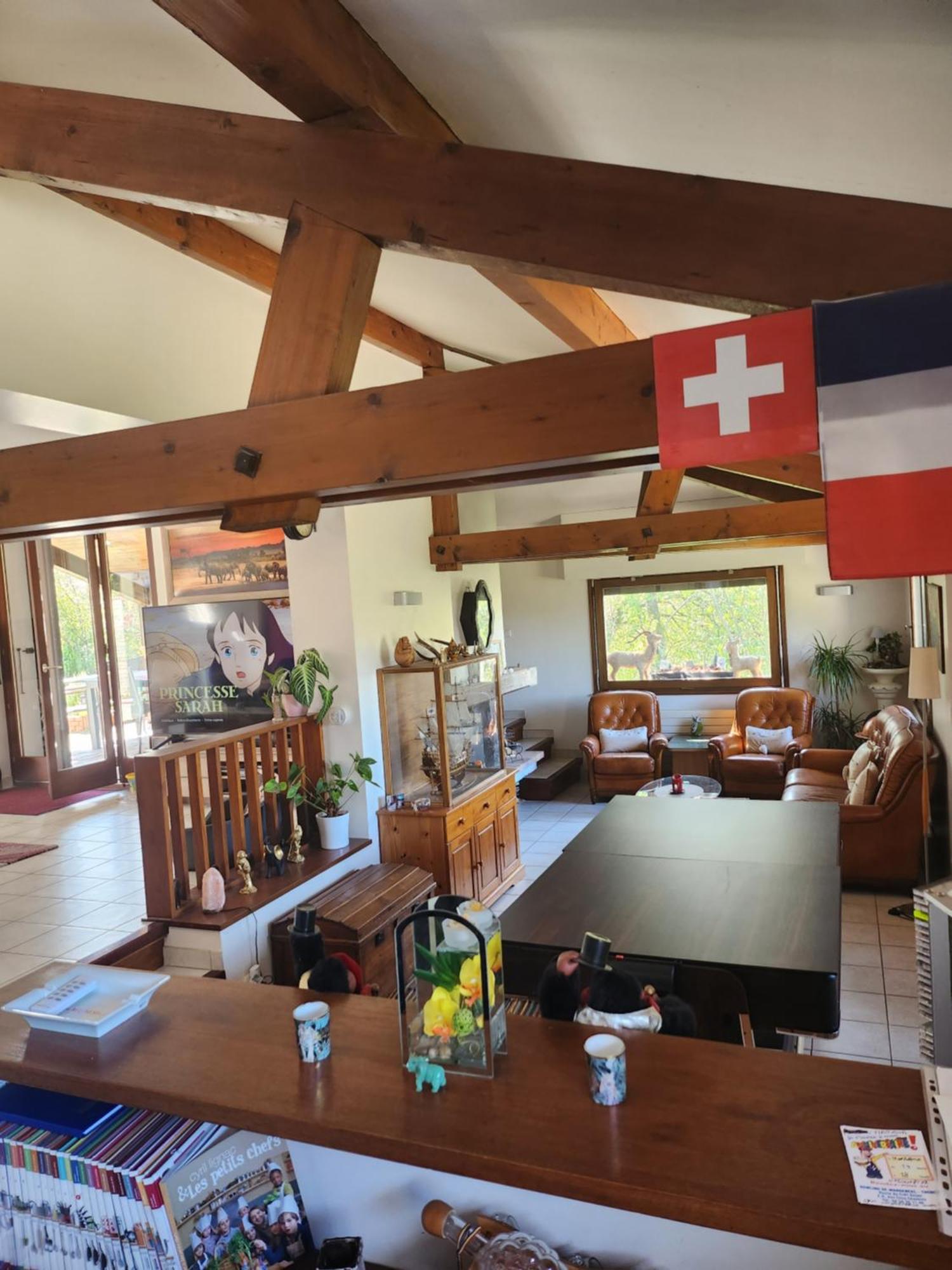 Maison Le Lézard chez Amalia et Fred Thonon-les-Bains Esterno foto